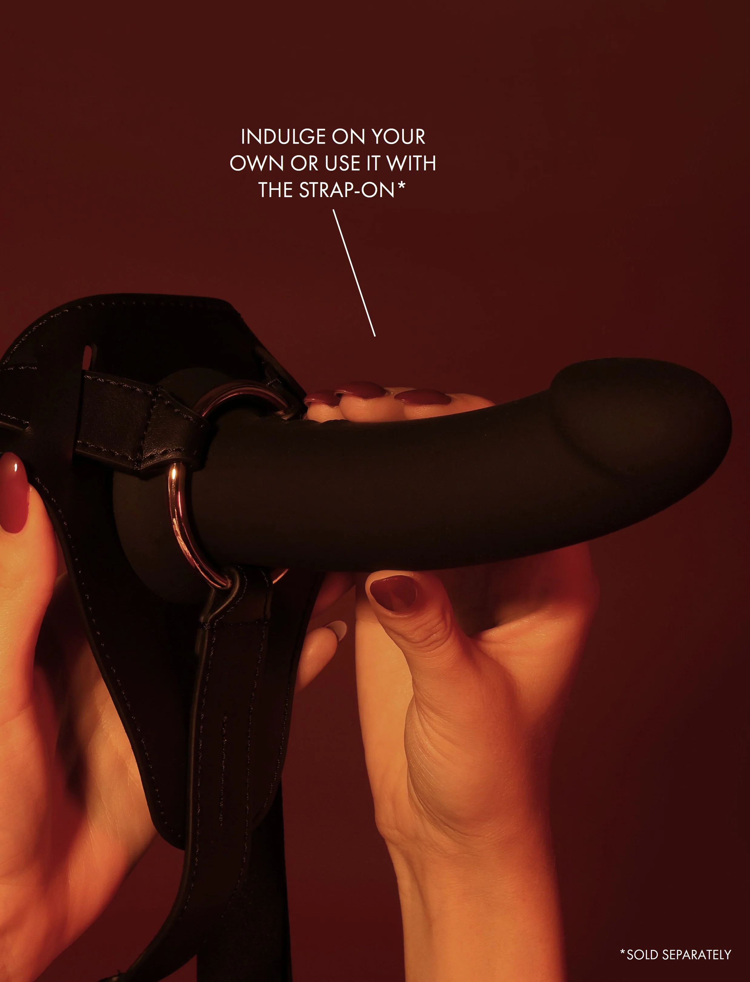 Rex Black - Image 5