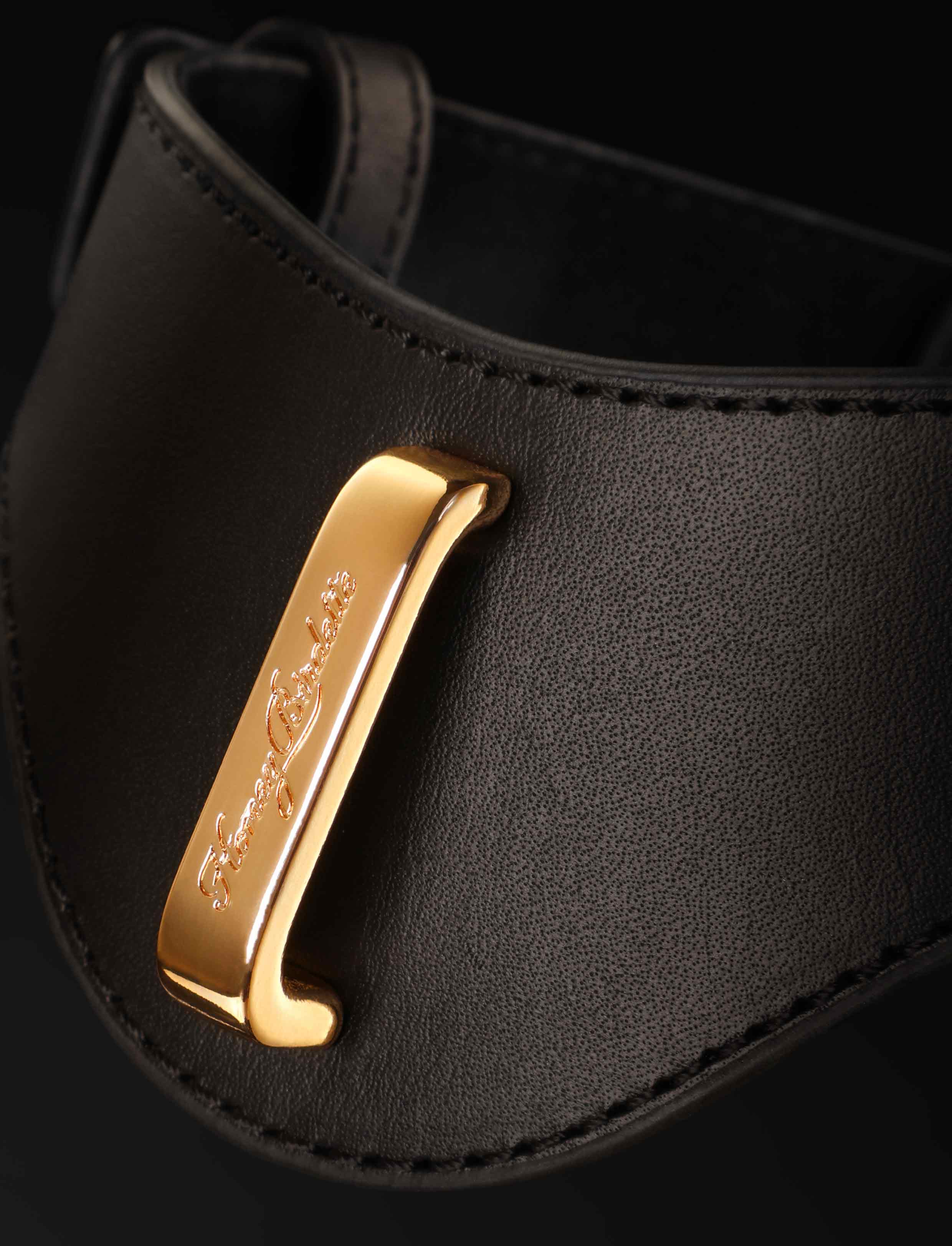 Signature Series Collar & Leash - Image 4