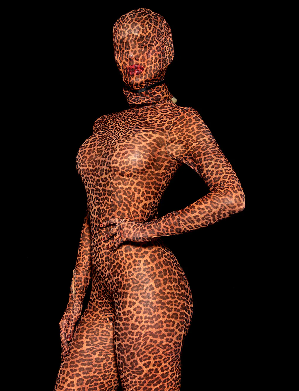 Sumi Leopard Headpiece - Image 4